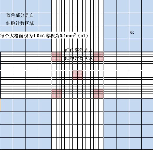 原创血球计数板的使用