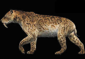 科学家最想复活的灭绝生物